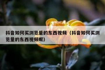 抖音如何买浏览量的东西视频（抖音如何买浏览量的东西视频呢）