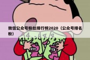 微信公众号粉丝排行榜2020（公众号排名粉）