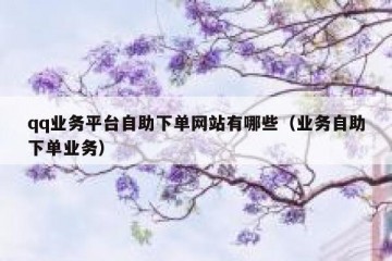 qq业务平台自助下单网站有哪些（业务自助下单业务）