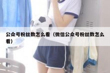 公众号粉丝数怎么看（微信公众号粉丝数怎么看）