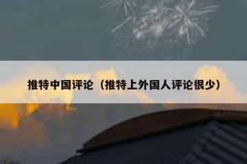 推特中国评论（推特上外国人评论很少）