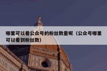 哪里可以看公众号的粉丝数量呢（公众号哪里可以看到粉丝数）