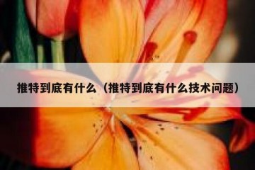 推特到底有什么（推特到底有什么技术问题）