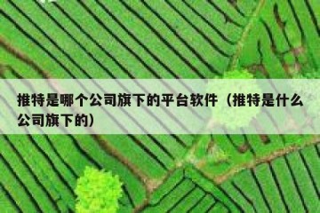 推特是哪个公司旗下的平台软件（推特是什么公司旗下的）