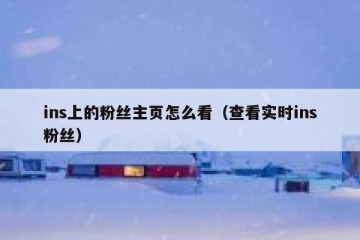 ins上的粉丝主页怎么看（查看实时ins粉丝）
