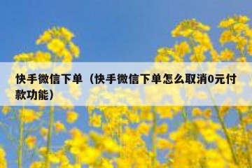 快手微信下单（快手微信下单怎么取消0元付款功能）