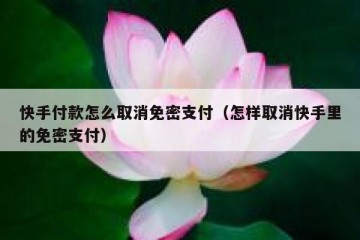 快手付款怎么取消免密支付（怎样取消快手里的免密支付）