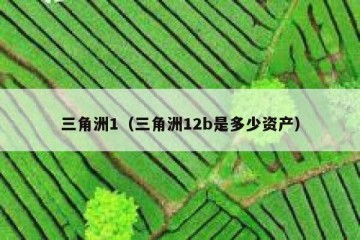 三角洲1（三角洲12b是多少资产）