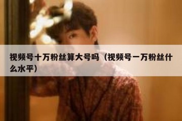 视频号十万粉丝算大号吗（视频号一万粉丝什么水平）