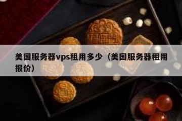 美国服务器vps租用多少（美国服务器租用报价）