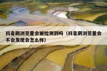 抖音刷浏览量会被检测到吗（抖音刷浏览量会不会发现会怎么样）