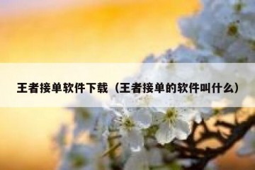 王者接单软件下载（王者接单的软件叫什么）