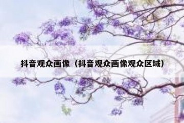 抖音观众画像（抖音观众画像观众区域）