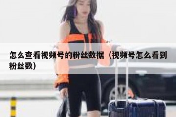 怎么查看视频号的粉丝数据（视频号怎么看到粉丝数）