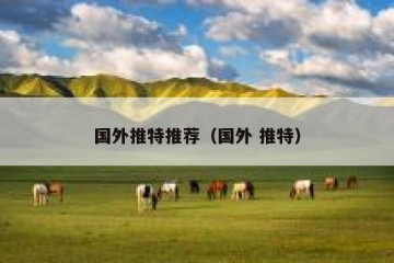 国外推特推荐（国外 推特）