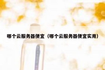 哪个云服务器便宜（哪个云服务器便宜实用）