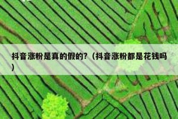 抖音涨粉是真的假的?（抖音涨粉都是花钱吗）