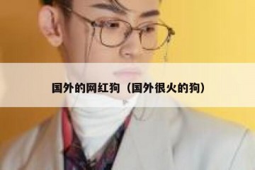 国外的网红狗（国外很火的狗）