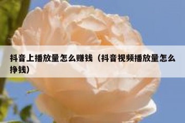抖音上播放量怎么赚钱（抖音视频播放量怎么挣钱）