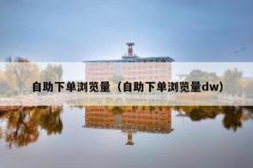 自助下单浏览量（自助下单浏览量dw）