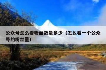 公众号怎么看粉丝数量多少（怎么看一个公众号的粉丝量）