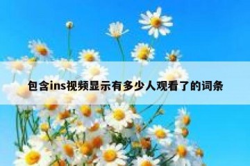 包含ins视频显示有多少人观看了的词条