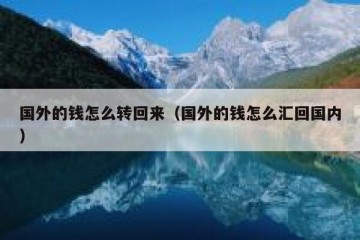 国外的钱怎么转回来（国外的钱怎么汇回国内）