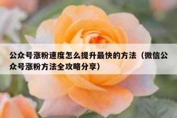 公众号涨粉速度怎么提升最快的方法（微信公众号涨粉方法全攻略分享）