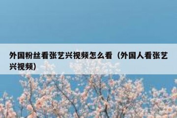 外国粉丝看张艺兴视频怎么看（外国人看张艺兴视频）