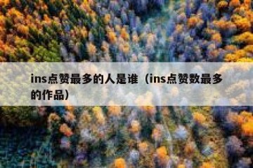 ins点赞最多的人是谁（ins点赞数最多的作品）