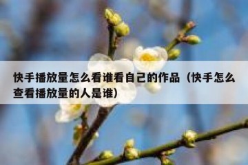 快手播放量怎么看谁看自己的作品（快手怎么查看播放量的人是谁）