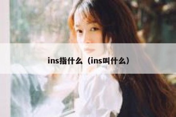 ins指什么（ins叫什么）