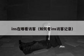 ins在哪看访客（如何看ins访客记录）