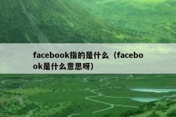 facebook指的是什么（facebook是什么意思呀）