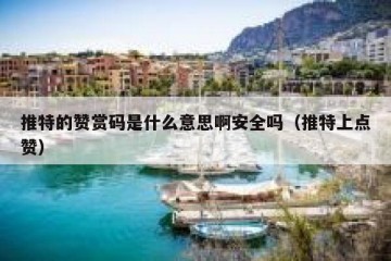 推特的赞赏码是什么意思啊安全吗（推特上点赞）