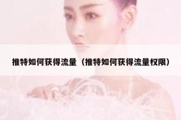 推特如何获得流量（推特如何获得流量权限）