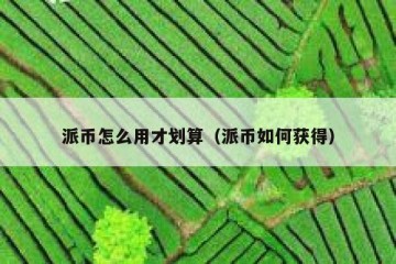 派币怎么用才划算（派币如何获得）