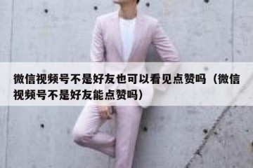 微信视频号不是好友也可以看见点赞吗（微信视频号不是好友能点赞吗）