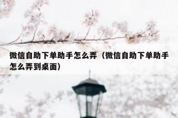 微信自助下单助手怎么弄（微信自助下单助手怎么弄到桌面）