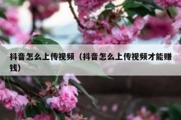 抖音怎么上传视频（抖音怎么上传视频才能赚钱）