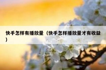 快手怎样有播放量（快手怎样播放量才有收益）