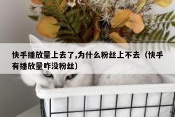快手播放量上去了,为什么粉丝上不去（快手有播放量咋没粉丝）