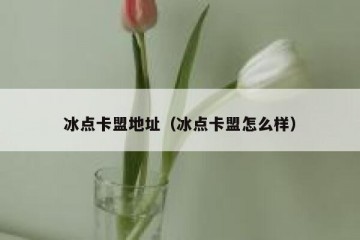冰点卡盟地址（冰点卡盟怎么样）