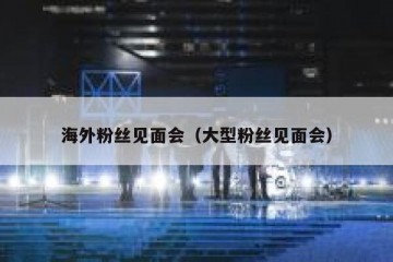 海外粉丝见面会（大型粉丝见面会）