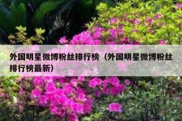 外国明星微博粉丝排行榜（外国明星微博粉丝排行榜最新）