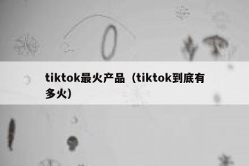 tiktok最火产品（tiktok到底有多火）