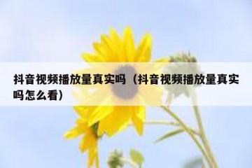 抖音视频播放量真实吗（抖音视频播放量真实吗怎么看）