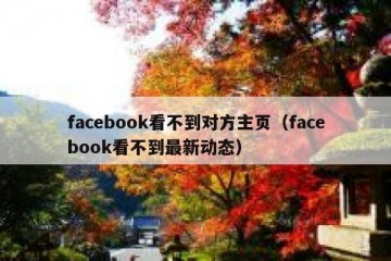 facebook看不到对方主页（facebook看不到最新动态）