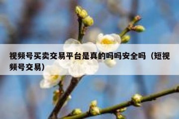 视频号买卖交易平台是真的吗吗安全吗（短视频号交易）