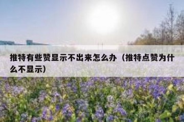 推特有些赞显示不出来怎么办（推特点赞为什么不显示）